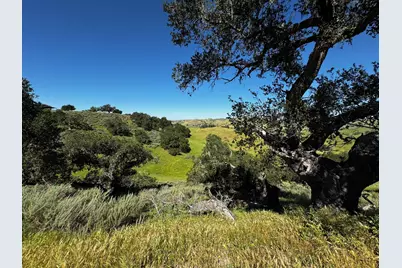 0 Alisos Canyon Road, Los Alamos, CA 93440 - Photo 24