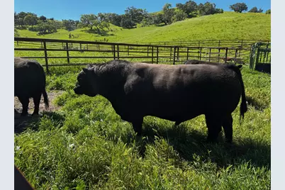 0 Alisos Canyon Road, Los Alamos, CA 93440 - Photo 22