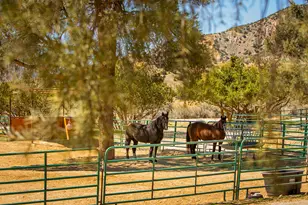 29433 Hwy 33, Cuyama, CA 93252 - Photo 62