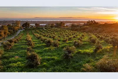 4488 Foothill Road, Carpinteria, CA 93013 - Photo 2