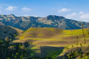 2160 Rambling Oaks Rd, Santa Ynez, CA 93460 - Photo 66