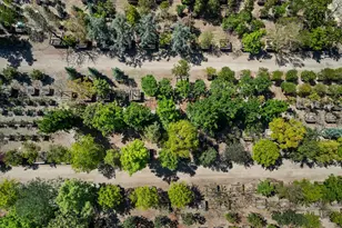 1048 E La Loma Ave, Somis, CA 93066 - Photo 60