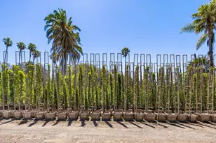 1048 E La Loma Ave, Somis, CA 93066 - Photo 52