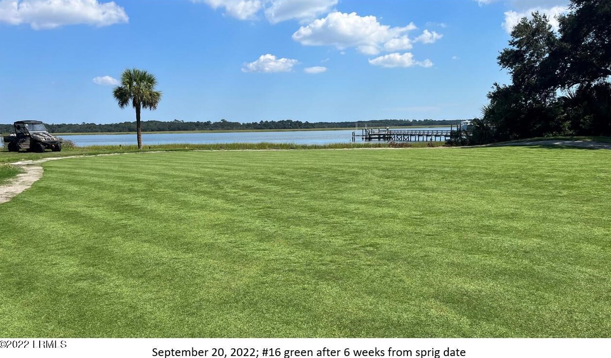 44 Dolphin Point Dr, Beaufort, SC 29907
