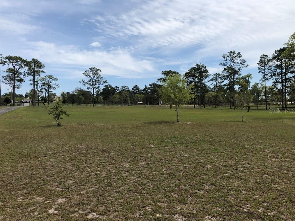 7750 128th Ter, Morriston, FL 32668-5078