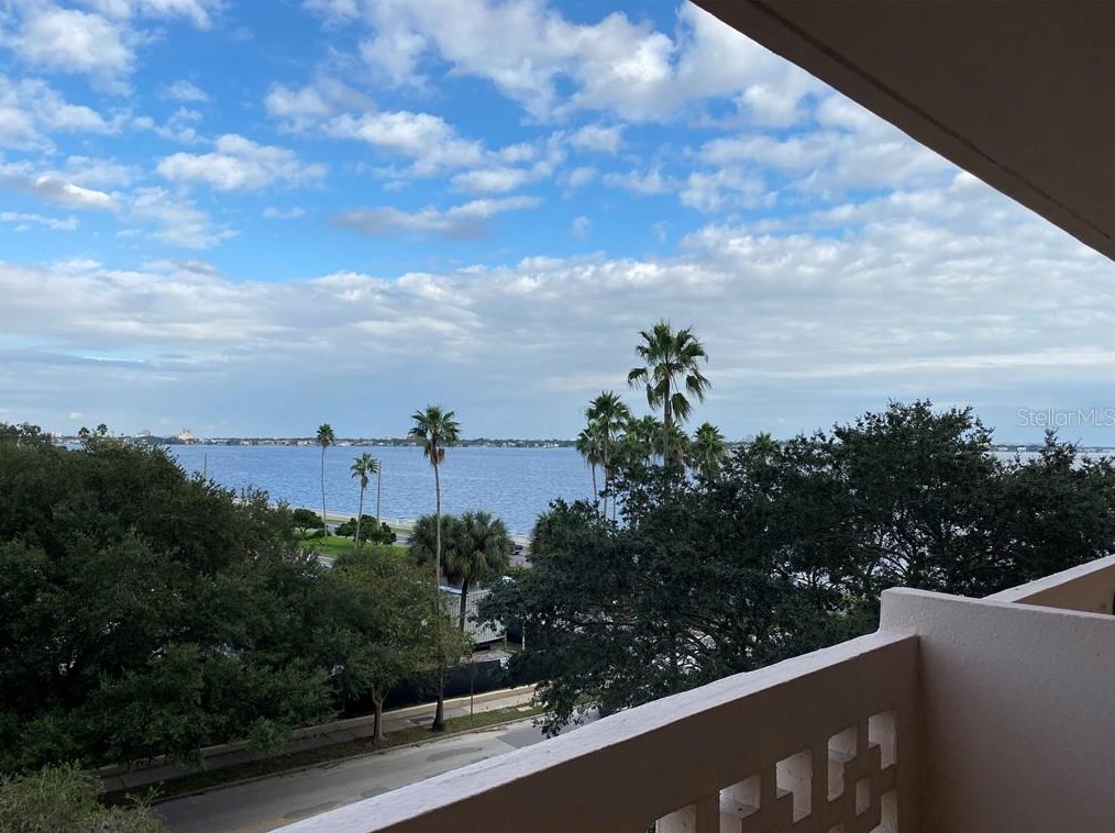 2401 Bayshore Blvd #507, Tampa, FL 33629