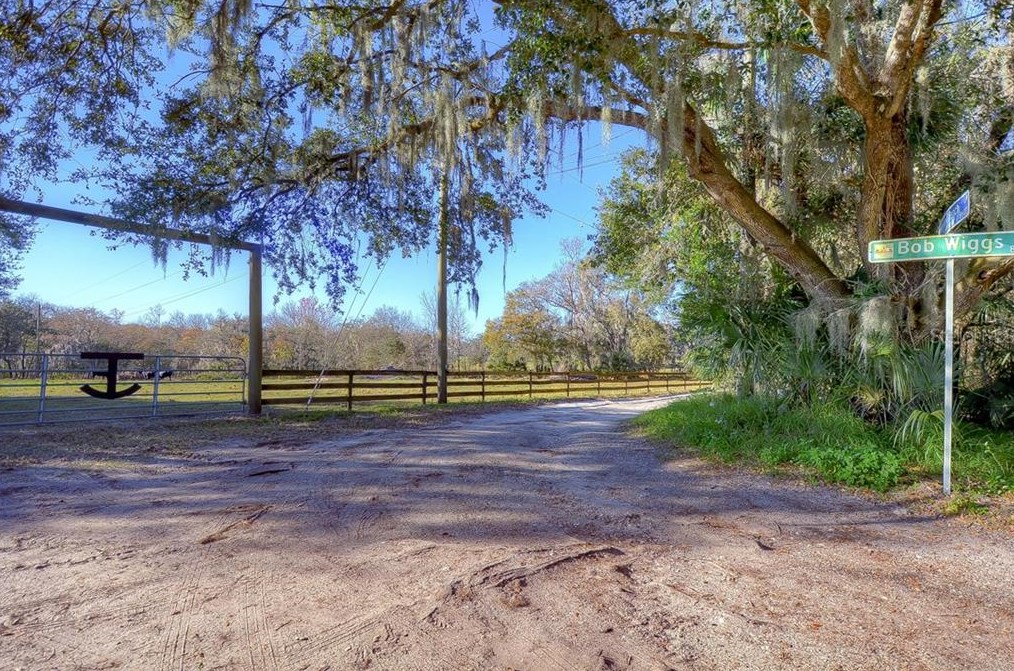 8304 Bob Wiggs Ave, Lithia FL  33547-2236 exterior