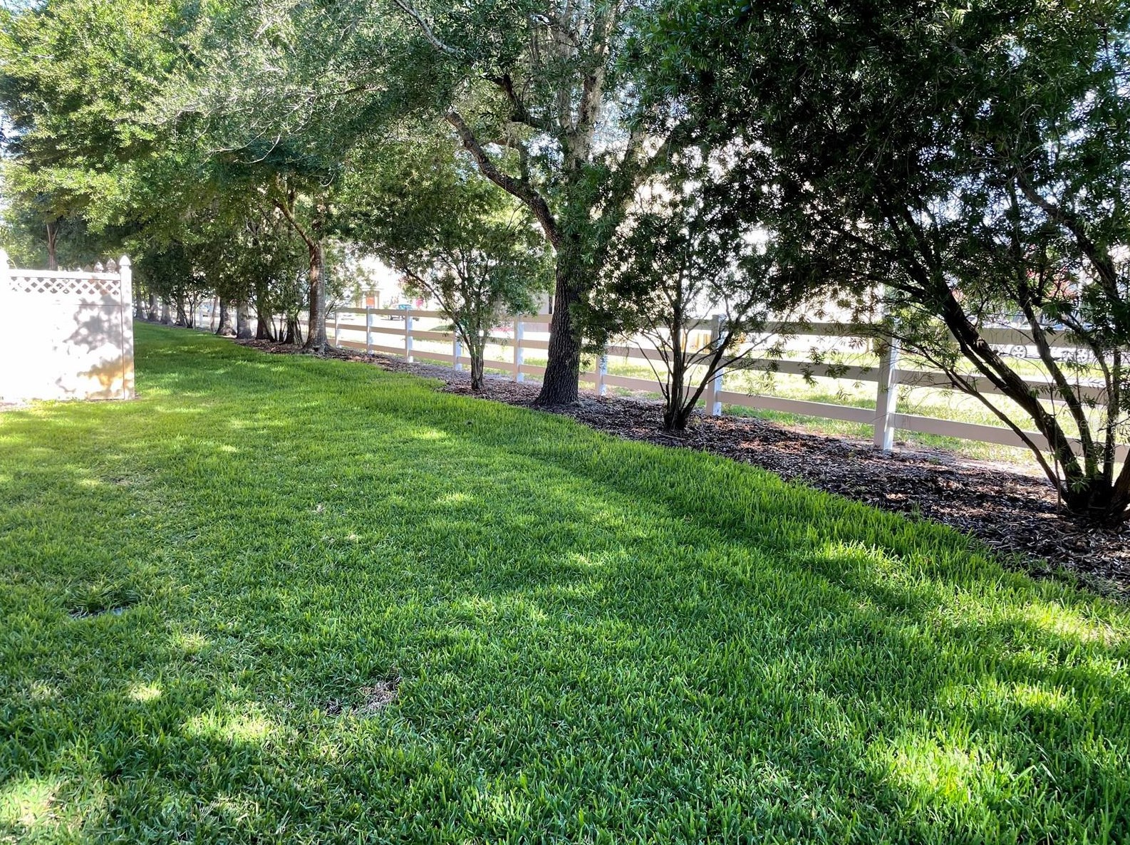 30217 Goodwick Way, Zephyrhills FL  33543-3961 exterior