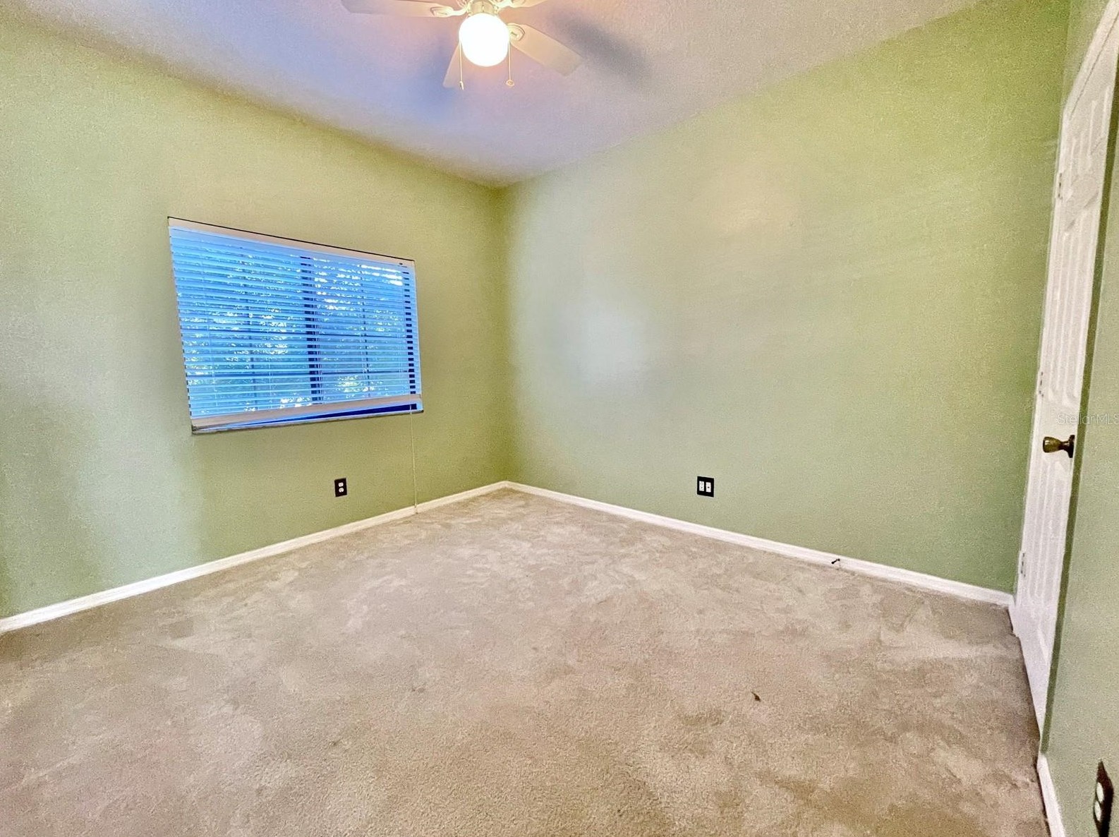 30217 Goodwick Way, Zephyrhills FL  33543-3961 exterior