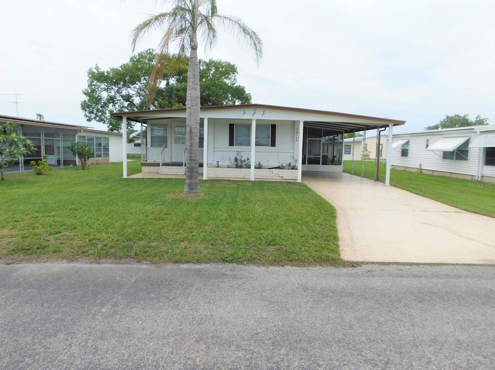 36709 Beth Ave, Zephyrhills, FL 33542-3007