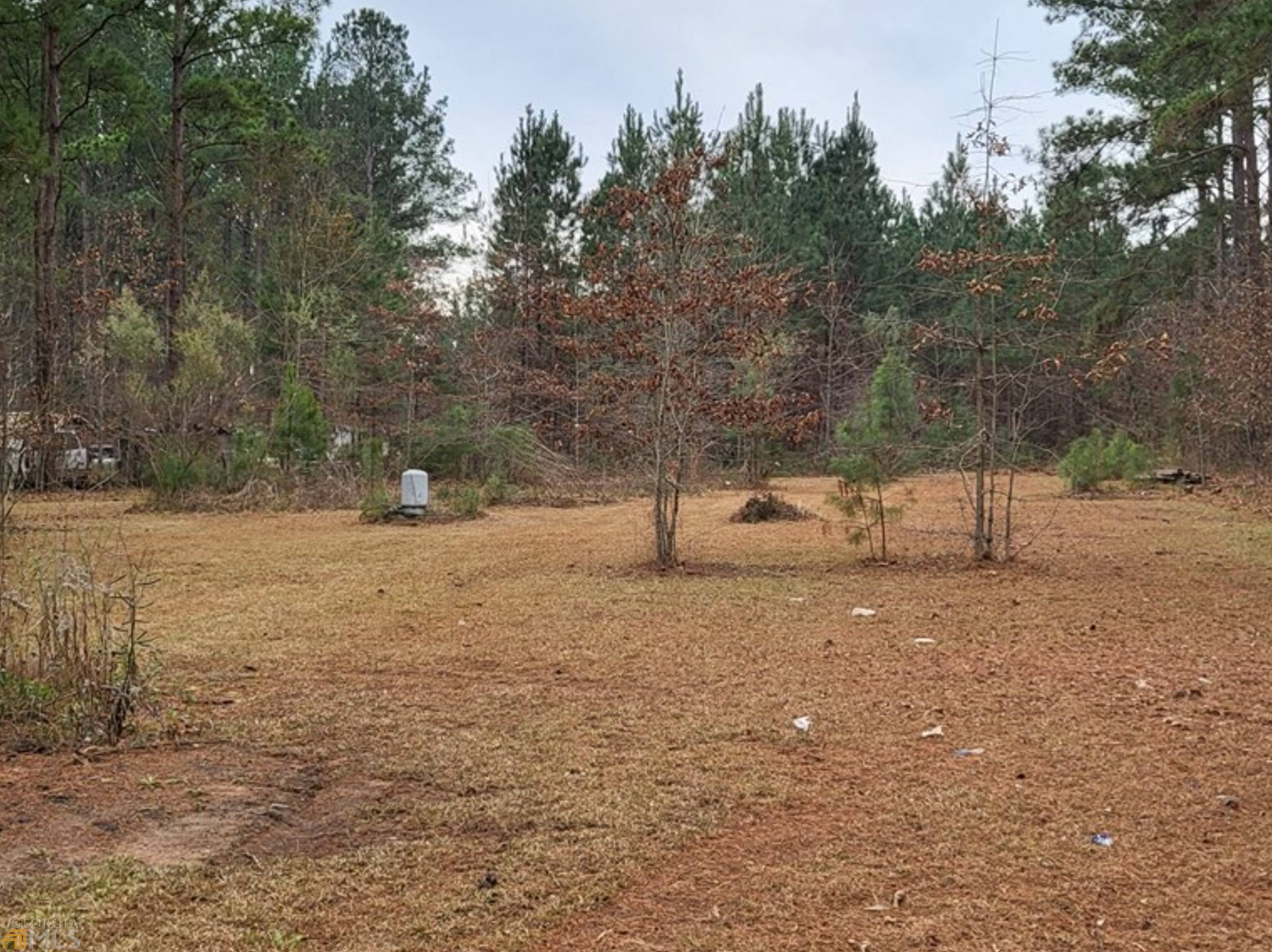 146 Gary Brewer Rd, Cobb, GA 31735