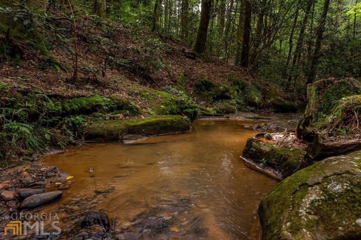 2657 Big Ben Rd, Ellijay, GA 30540