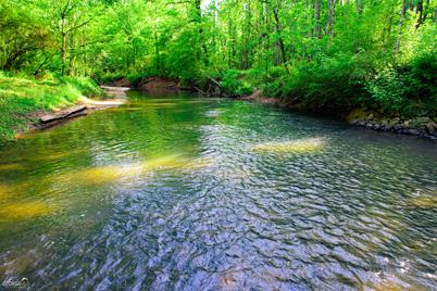 294 +/- Acres O Haywood Valley Road, Summerville, GA 30747 - Photo 1
