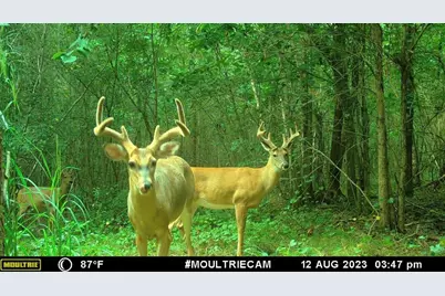 0 Harmony Gates Drive #TRACT 24, Commerce, GA 30530 - Photo 30