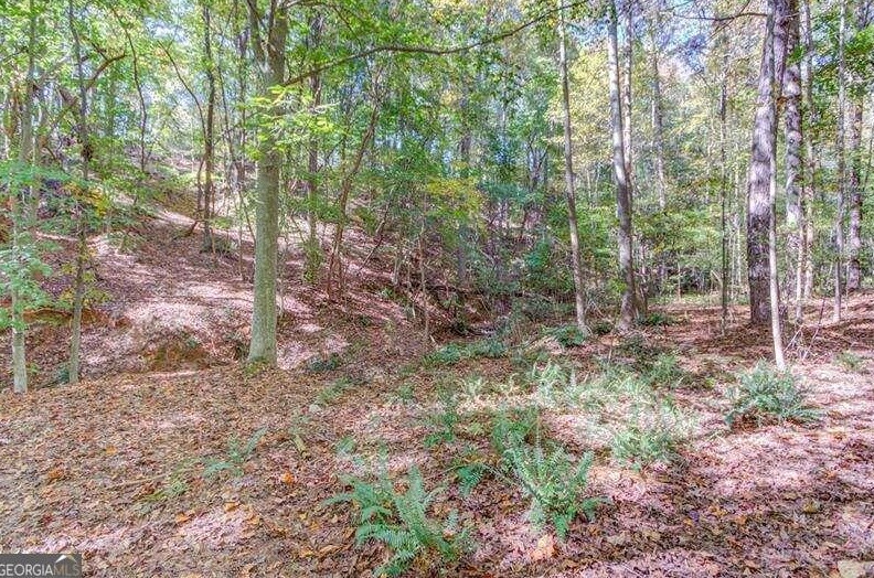 4624 Fox Forrest Dr, Flowery Branch GA  30542-3490 exterior