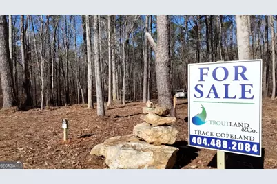 6155 (Lot #1) Little Ridge Road, Acworth, GA 30102 - Photo 4