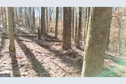 6155 (Lot #1) Little Ridge Road, Acworth, GA 30102 - Photo 14