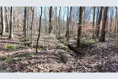 6155 (Lot #1) Little Ridge Road, Acworth, GA 30102 - Photo 14