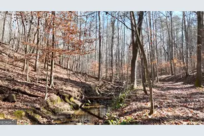 6137 Little Ridge Road LOT #3, Acworth, GA 30102 - Photo 36