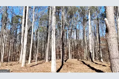 6137 Little Ridge Road LOT #3, Acworth, GA 30102 - Photo 18