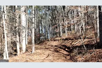 6137 Little Ridge Road LOT #3, Acworth, GA 30102 - Photo 12