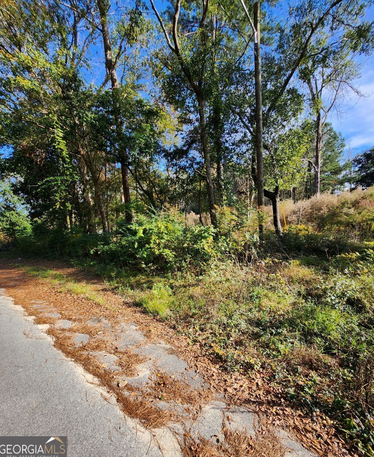 206 Simmons St, Pineora, GA 31312