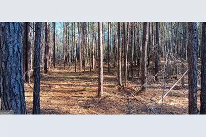 Tract C Sweetbriar Lane, Griffin, GA 30224 - Photo 6