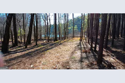 Tract C Sweetbriar Lane, Griffin, GA 30224 - Photo 4