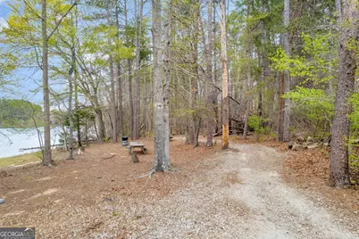 0 Lakeway, Martin, GA 30557 - Photo 22