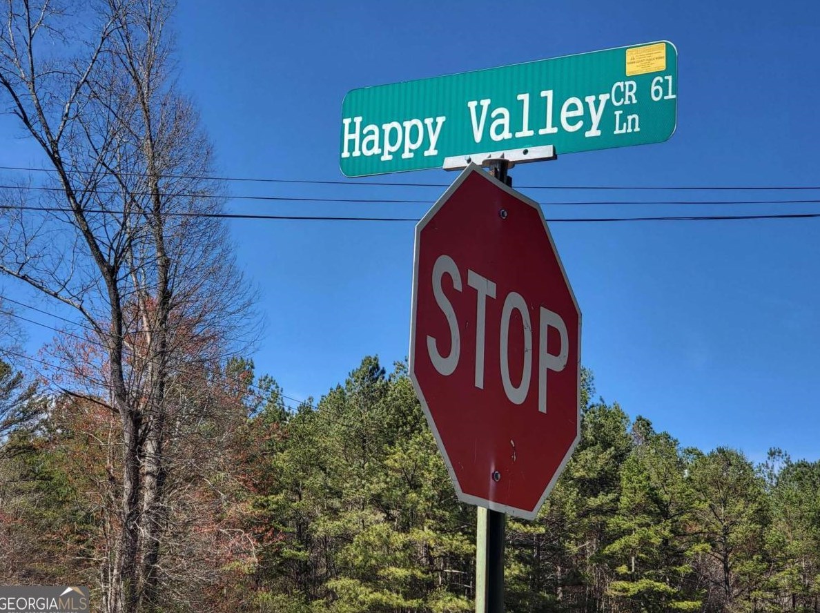 130 Happy Valley Ln, Morganton, GA 30560