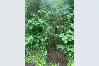 0 Butner Road, Atlanta, GA 30331 - Photo 6