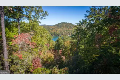 0 Ivy Ridge Way #LOT 40, Clarkesville, GA 30523 - Photo 10