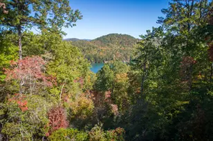 0 Ivy Rdg Wy, Clarkesville, GA 30523 - Photo 10