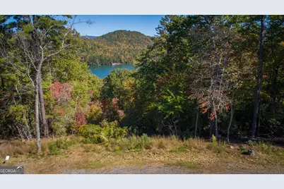 0 Ivy Ridge Way #LOT 40, Clarkesville, GA 30523 - Photo 2