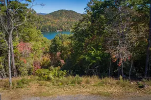 0 Ivy Rdg Wy, Clarkesville, GA 30523 - Photo 2