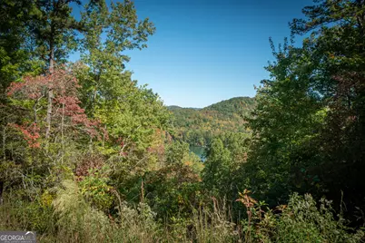 0 Ivy Ridge Way #LOT 40, Clarkesville, GA 30523 - Photo 16