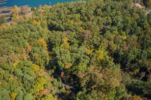 0 Ivy Rdg Wy, Clarkesville, GA 30523 - Photo 12