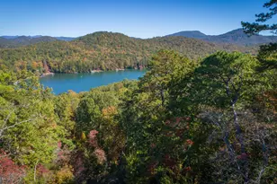 0 Ivy Rdg Wy, Clarkesville, GA 30523 - Photo 4