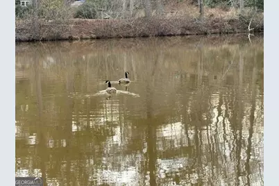 117 Mixon Street, Griffin, GA 30224 - Photo 14