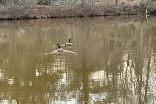 117 Mixon St, Griffin, GA 30224 - Photo 14