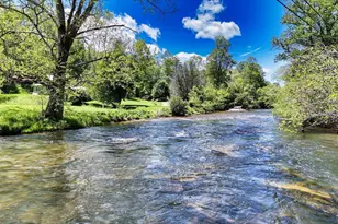 2350 Dial Rd, Blue Ridge, GA 30513 - Photo 6