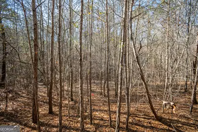 0 Lavista Road, Jefferson, GA 30549 - Photo 8