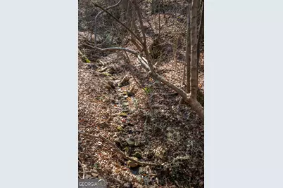 0 Lavista Road, Jefferson, GA 30549 - Photo 10