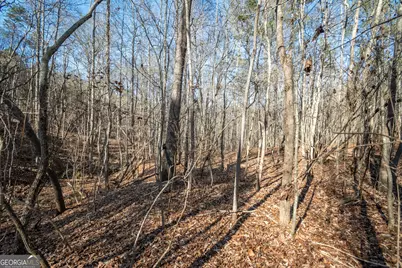 0 Lavista Road, Jefferson, GA 30549 - Photo 12