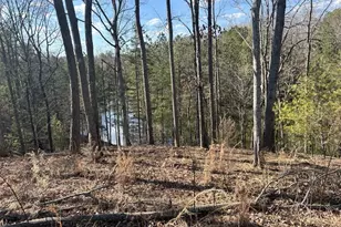 154 Lake Forest Dr, Ellijay, GA 30540 - Photo 1