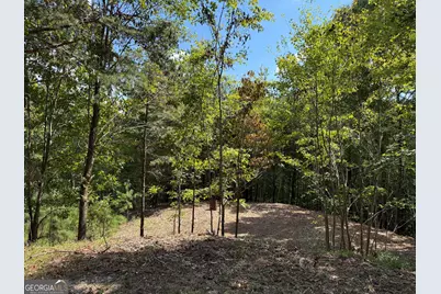 52 Grizzley Court, Ranger, GA 30734 - Photo 4