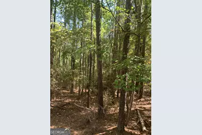 0 Harbour Pointe Drive, Sparta, GA 31087 - Photo 6