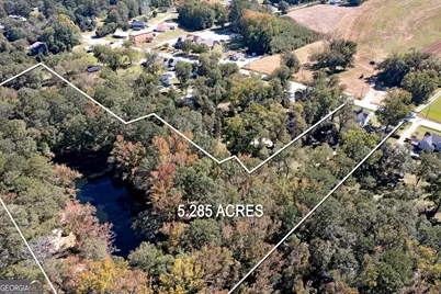12471 Ga Highway 109, Meansville, GA 30256 - Photo 68