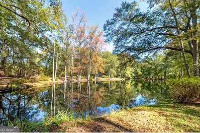 12471 Ga Highway 109, Meansville, GA 30256 - Photo 58