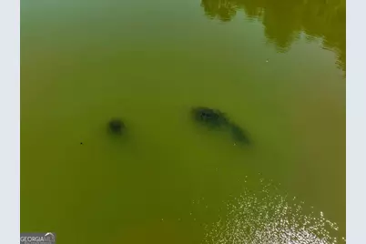 655 McDonough Road, Hampton, GA 30228 - Photo 114